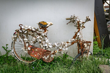 Rustic Bicycle Covered in Shells Displayed Against a Concrete Wall