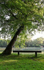 Tranquil Lake Scene in Artix