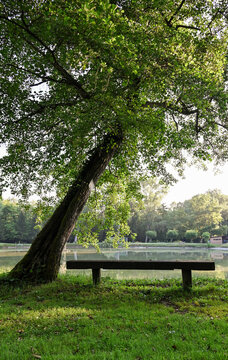 Tranquil Lake Scene in Artix
