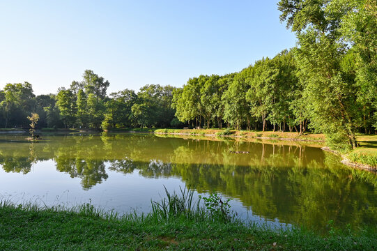 Tranquil Lake Scene in Artix