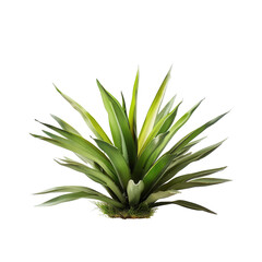 A vibrant, stylized, graphic illustration of a pineapple plant