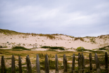 Fototapeta premium paysage de dune de l'océan atlantique
