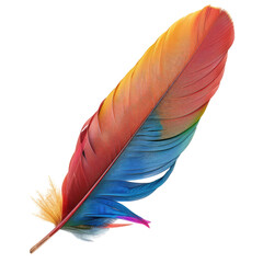 Vibrant colorful feather,  vivid hues,  isolated on black