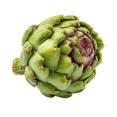 Fototapeta premium Fresh Artichoke Vegetable on transparent background