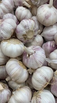 Close-up of fresh garlic bulbs with purple streaks, ideal for culinary-themed background