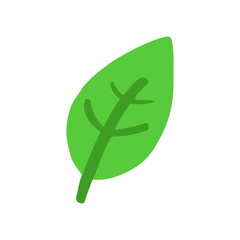 Single Green Leaf Illustration on White Background. Generated image