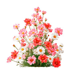 Fototapeta premium A vibrant bouquet of mixed pink, red, and white flowers