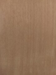 Smooth Polished Wood Surface Texture