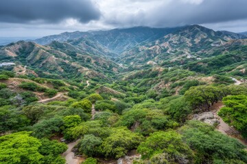 Naklejka premium Lush, hilly landscape under a cloudy sky. Rolling terrain, dense foliage, and valleys