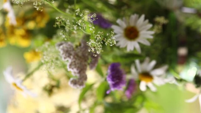 summer bouquet of wild flowers, daisies, romance, vertical video