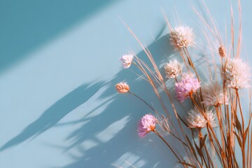 Pastel flowers casting shadows on blue background in soft sunlight

