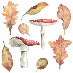 Set of detailed watercolor forest illustrations - brown and golden fallen leaves, fly agaric amanita mushrooms. Forest gathering objects isolated on transparent background