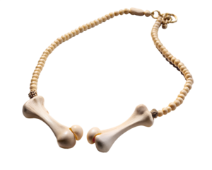 Unique bone shaped pendant necklace with small beads isolated on transparent background