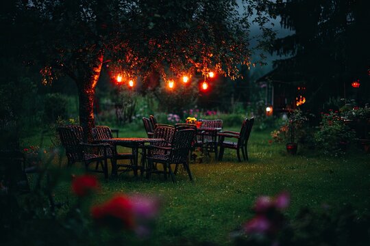 Evening garden scene with string lights