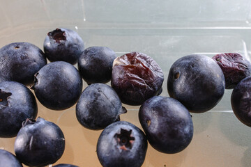 A macro photograph of fresh blueberries with a few visibly wrinkled and spoiled berries in the mix.