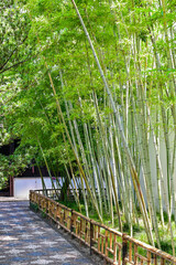 蘇州・留園