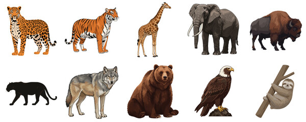 Obraz premium Various animal illustrations: tiger, leopard, giraffe, elephant, bison, panther, wolf, bear, eagle, sloth, for educational materials, wildlife conservation and children's books
