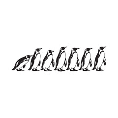 Group of black and white penguins standing in a line