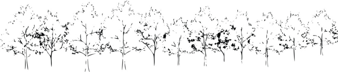 A tropical landscape featuring palm trees and lush vegetation in a black and white sketch isolated on transparent background