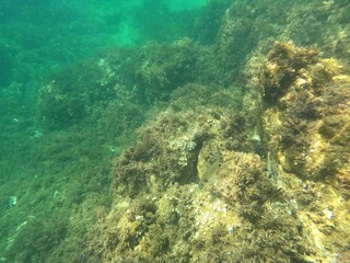 Calella de Palafrugell, Catalu&ntilde;a,. Espa&ntilde;a