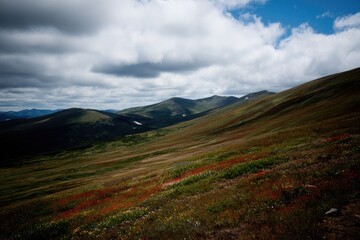 Obraz premium Mountain slopes carpeted in wildflowers under a partly cloudy sky