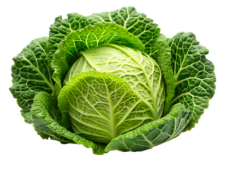 Photo of a fresh green cabbage isolated on transparent background