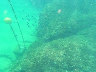 Calella de Palafrugell, Catalu&ntilde;a,. Espa&ntilde;a