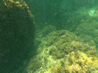 Calella de Palafrugell, Catalu&ntilde;a,. Espa&ntilde;a