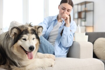 Woman suffering from allergy with her dog at home, selective focus