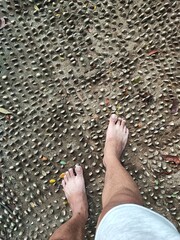 A person walks barefoot on a pebble-covered reflexology path, feeling the textured surface underfoot amidst scattered dry leaves in an outdoor setting.