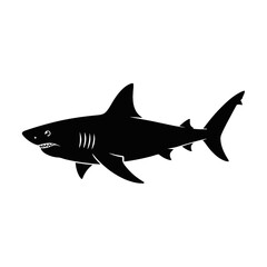 Fototapeta premium Great White Shark Silhouette marine life ocean