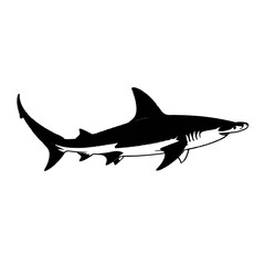 Fototapeta premium Hammerhead Shark Outline marine life ocean
