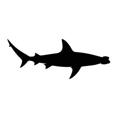 Obraz premium Hammerhead Shark Silhouette marine life ocean