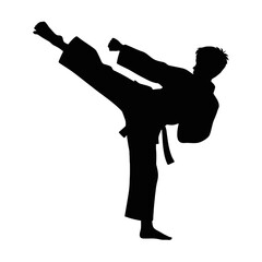 Karate fighter performing a side kick martial arts