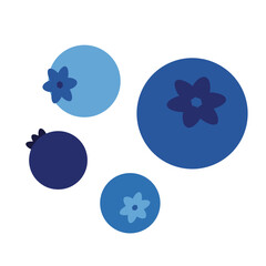 Blueberry vector. blueberry on white background. symbol. logo design.