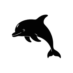 Fototapeta premium Leaping Dolphin marine mammal ocean