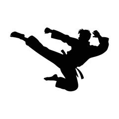 Martial artist performing a kick silhouette martial arts