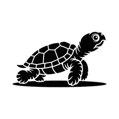 Young Turtle Walking baby turtle reptile