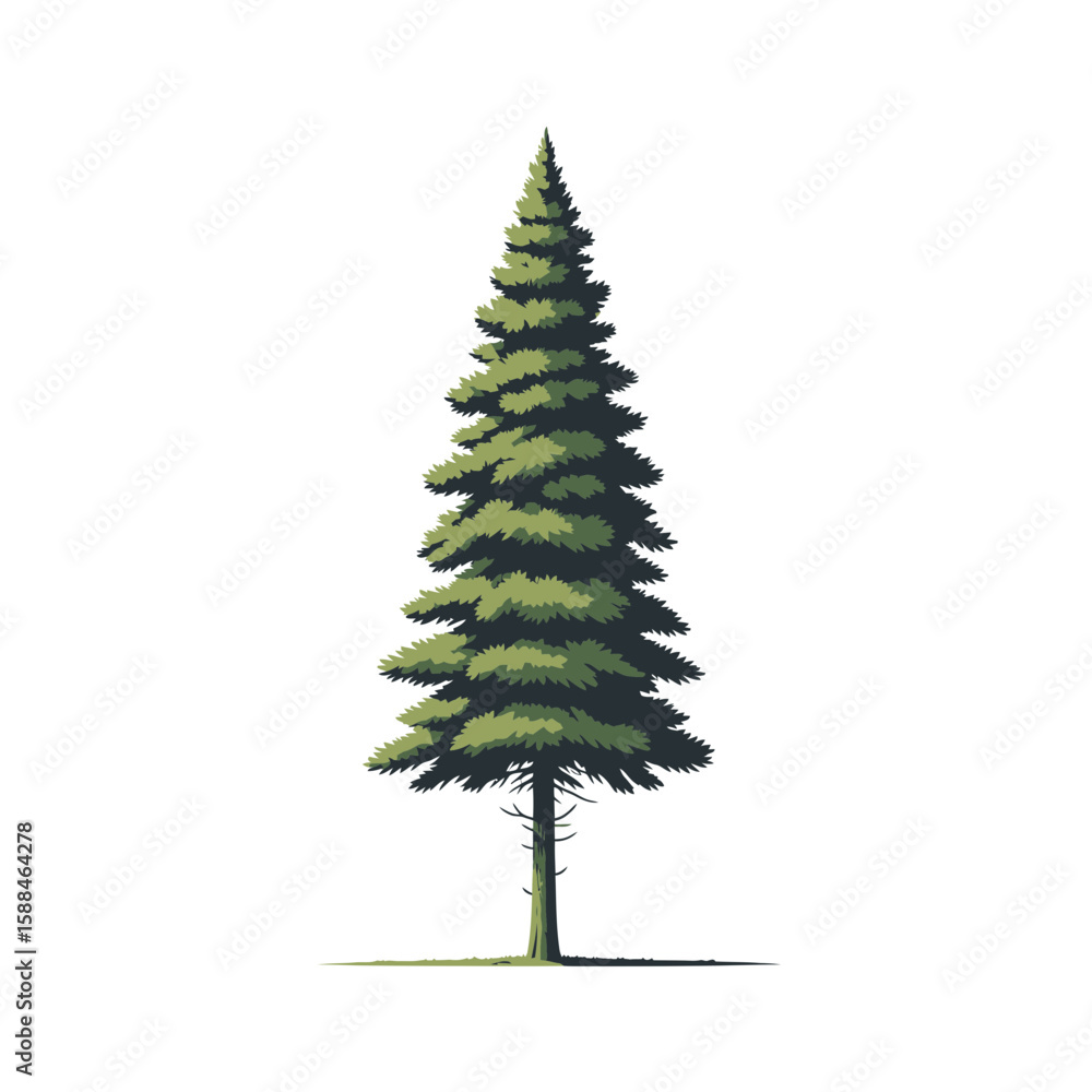 Poster a detailed illustration of a fir tree with dense green needles and a slender trunk, concept for arch
