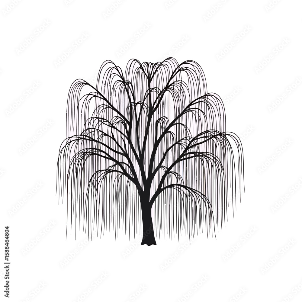 Poster silhouette of a weeping willow tree with its distinctive cascading branches in black against a white