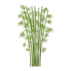 Green bamboo stalks with leaves illustration on a clean white background, concept for architecture design landscape design and natural element for environment and serene garden.