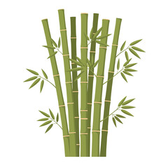 Obraz premium Illustration of bamboo stalks with leaves against a white backdrop, concept for architecture design, landscape design and tree element for environment and garden