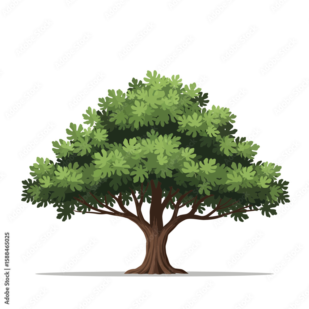 Poster isolated illustration of a generic deciduous tree with green foliage, concept for architecture desig