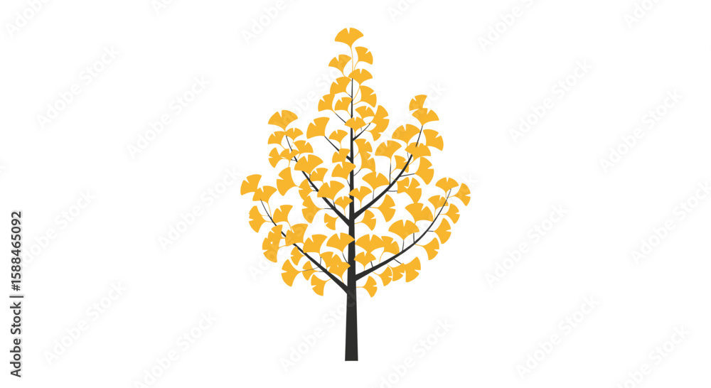 Poster illustration of a ginkgo tree with golden yellow leaves and black trunk on a white background, conce