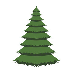 Obraz premium Symmetrical spruce tree illustration with dense green needles, concept for architecture design, landscape design and tree element for environment and garden