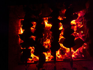 Meat skewers grilling over glowing coals in barbecue grill