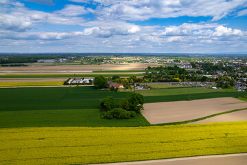 Polish Agricultural Strata – Rapeseed, Vegetation, and Soil in Vertical Crop Alignment