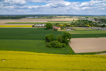 Southern Poland – Rapeseed Blocks, Village Texture, and Town Horizon