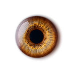 Hyper-realistic iris in vivid orange-blue hues, isolated in the center of a clean white space. Suitable for biometrics, vision, tech, or surreal design concepts.