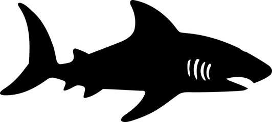 black shark vector illustration